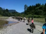© Balade à cheval avec les Paddocks du Mont Blanc - Les Paddocks du Mont Blanc