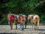 © Promenade à cheval - Praz de Lys Sommand Tourisme
