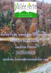 © VVI Mieussy - Vallée Verte Immobilier
