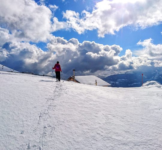 Randonnée raquettes - Praz de Lys Sommand