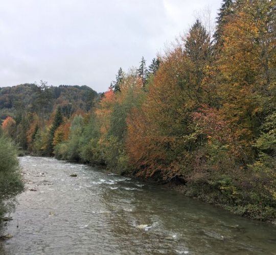 Pêche - Praz de Lys Sommand Taninges Mieussy