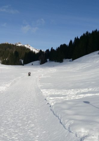 Balades d'hiver - Voies Blanches - Praz de Lys Sommand