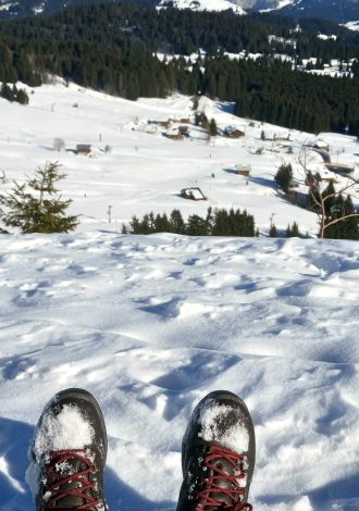 Balades d'hiver - Voies Blanches - Praz de Lys Sommand