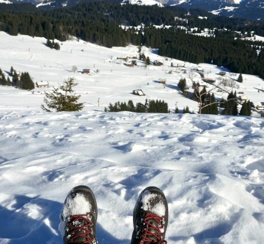 Balades d'hiver - Voies Blanches - Praz de Lys Sommand