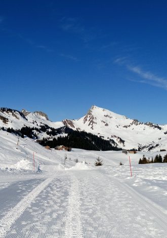 Sortie raquettes - Praz de Lys Sommand