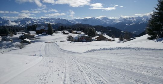 Ski Alpin - Praz de Lys Sommand
