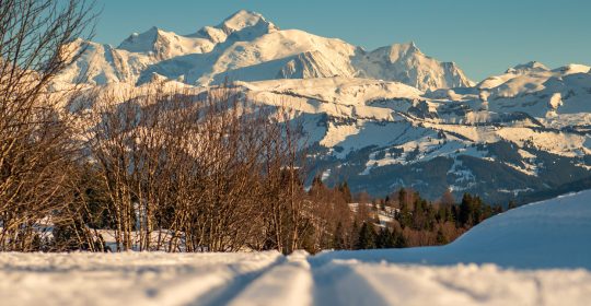 Paysage - Vue sur le Mont-Blanc - Praz de Lys Sommand - Gilles Piel