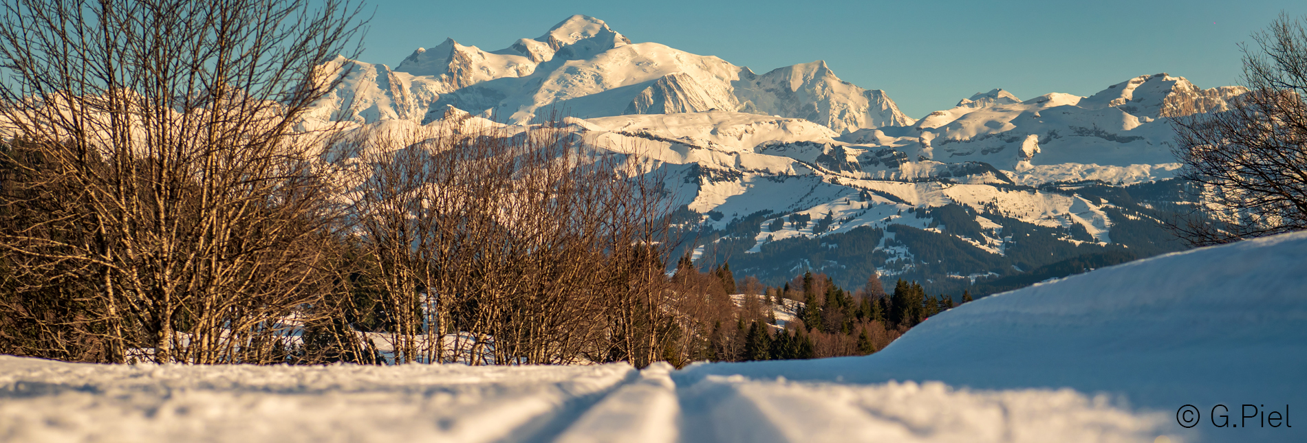 Paysage - Vue sur le Mont-Blanc - Praz de Lys Sommand - Gilles Piel