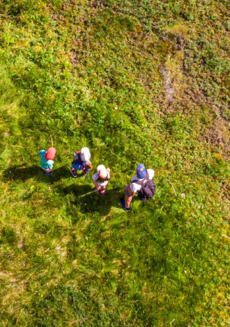 Tourbière de Sommand - Activités de pleine nature à Praz de Lys Sommand - Gilles Piel