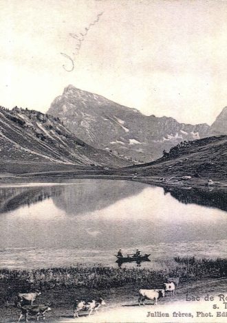 carte postale ancienne lac de roy et troupeau
