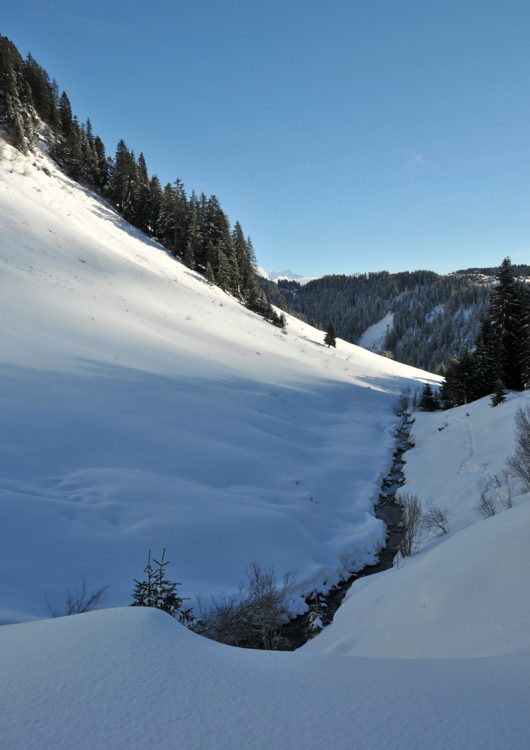 Vallon du Boutigny en raquettes - Praz de Lys Sommand