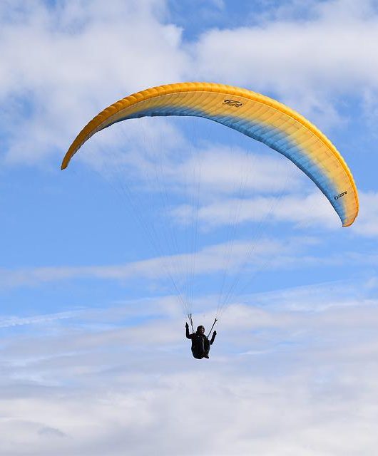 Vol en parapente - Praz de Lys Sommand