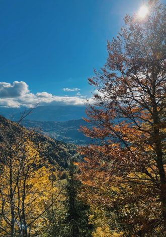 automne - Praz de Lys Sommand